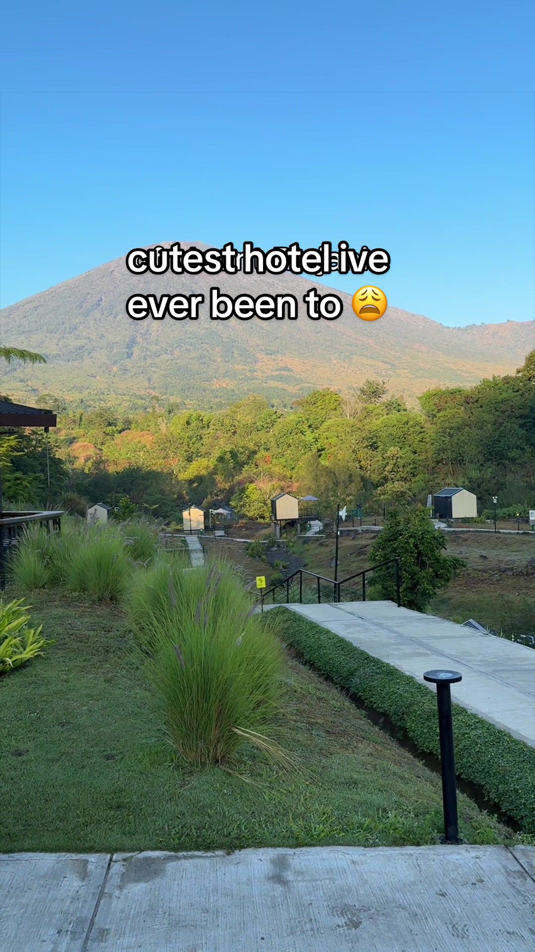 @marina tasha
