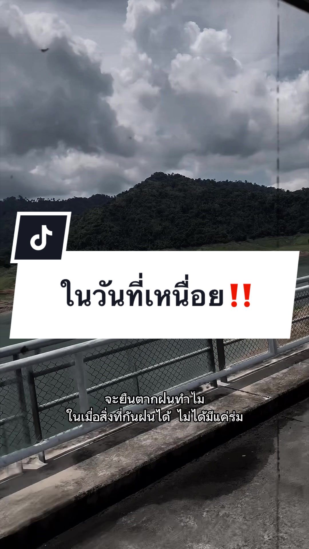 @เสื้อลูกไม้ PK พรรณราย