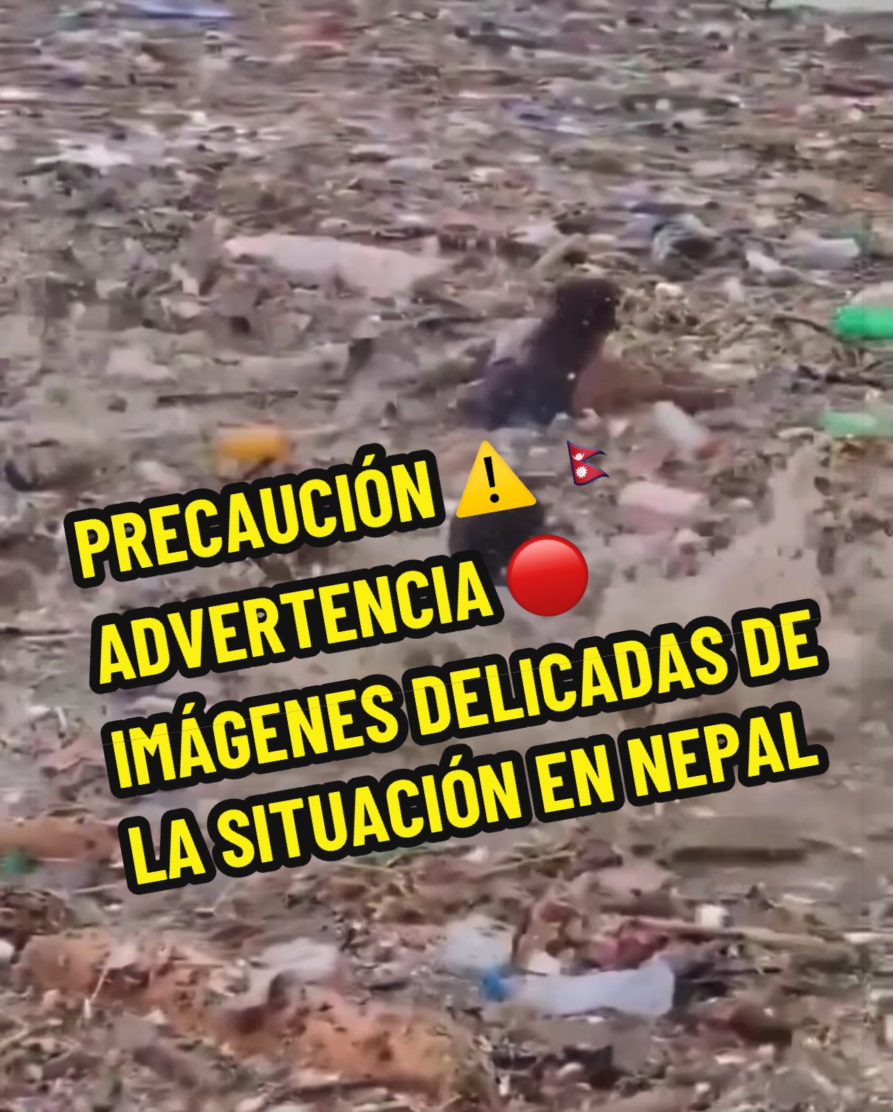 @👁️🗨️ 593 Tendencias
