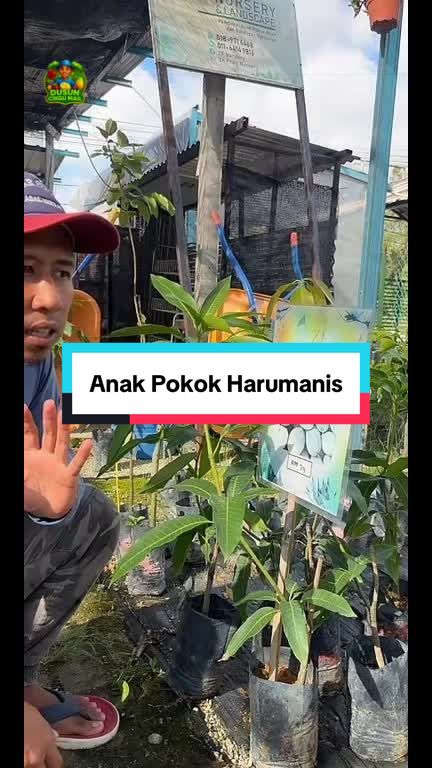 @Dusun Cikgu Mail