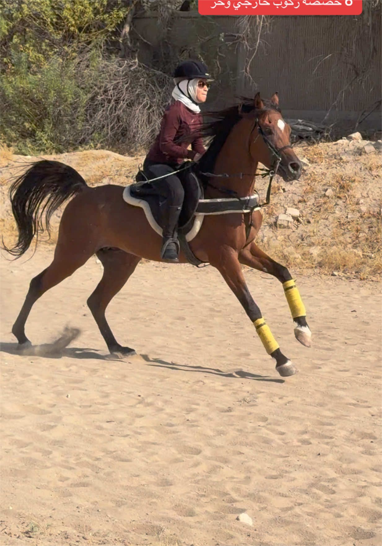 @فروسية صبحان ☑️🥇