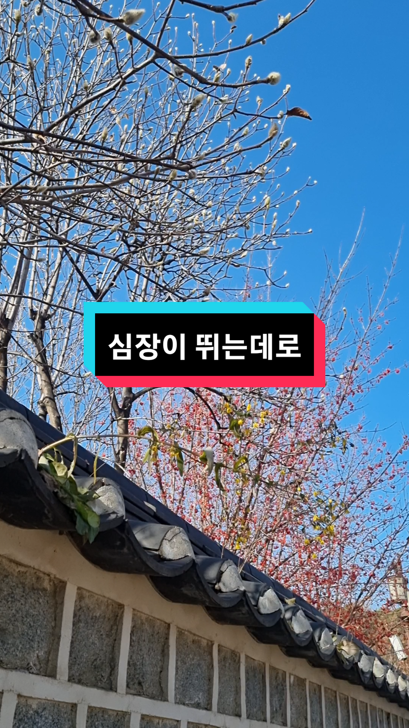 @비엘라_까사🏡