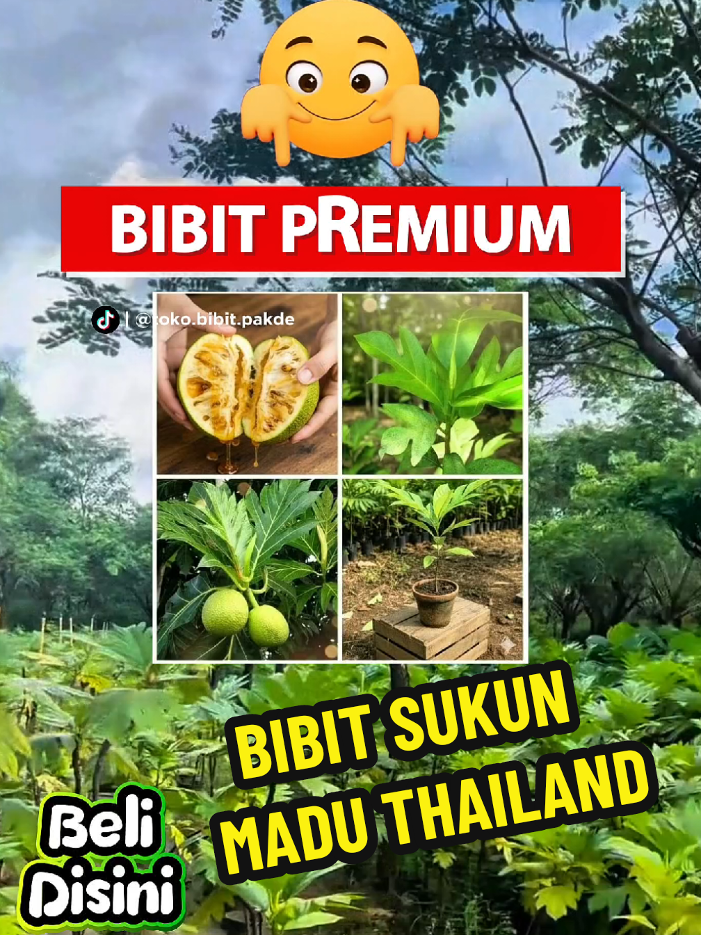@TOKO BIBIT PAKDE