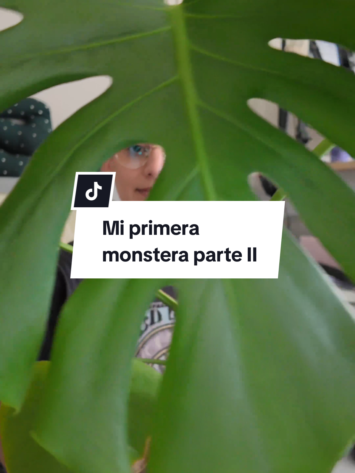 @Molicetas