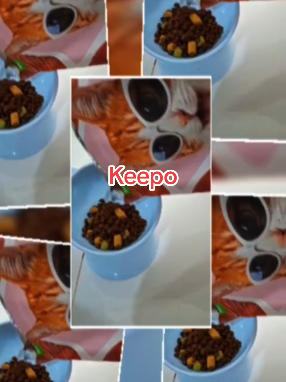 @Medayo Petcare
