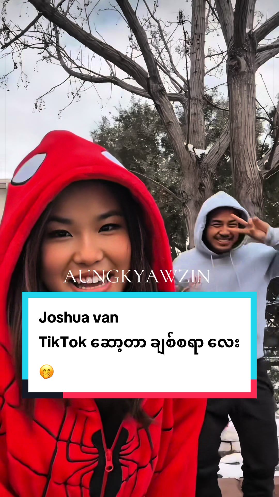 @aungkyawzin884