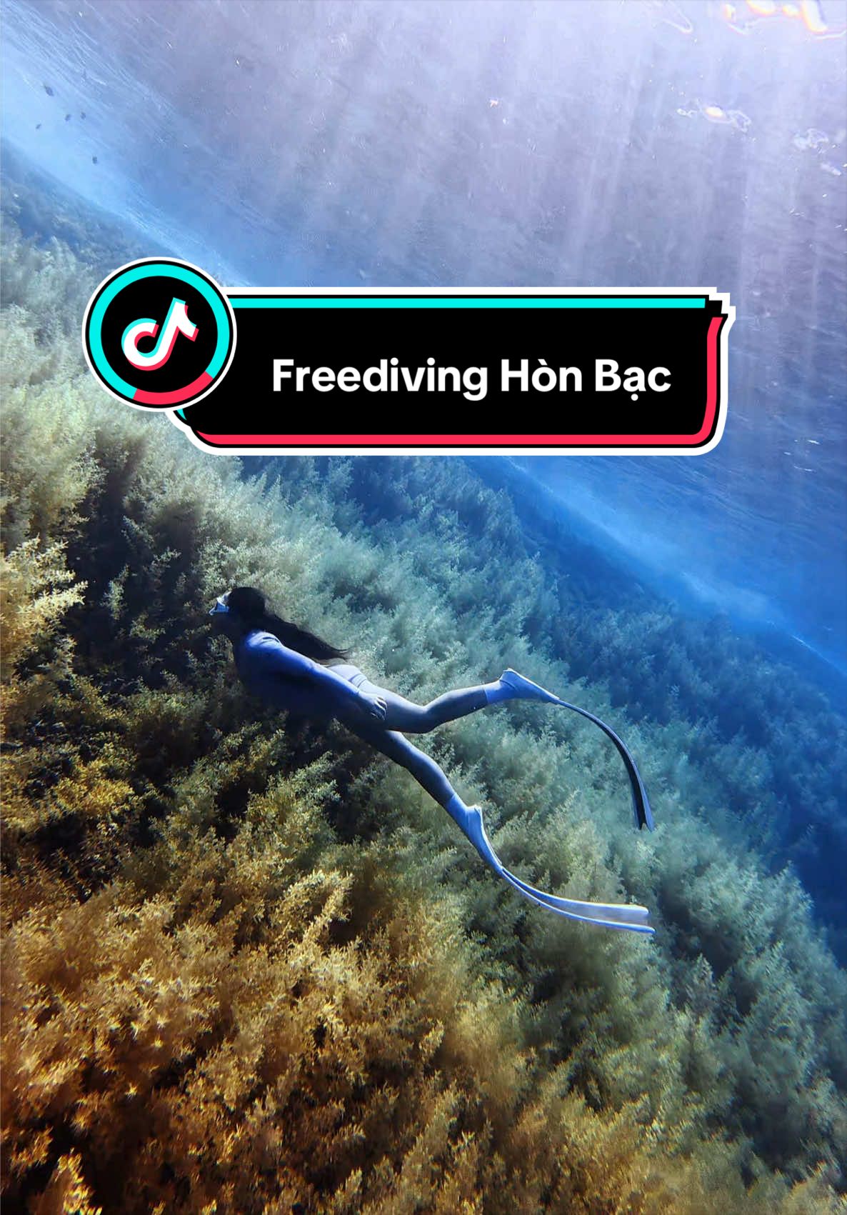 @Love Freediving Nha Trang