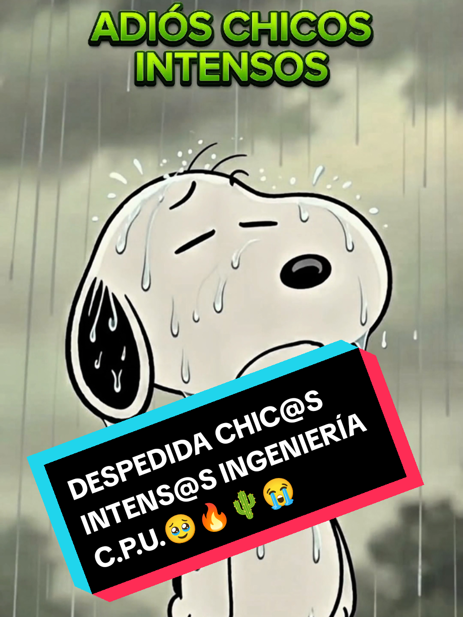@Academia Intenisa