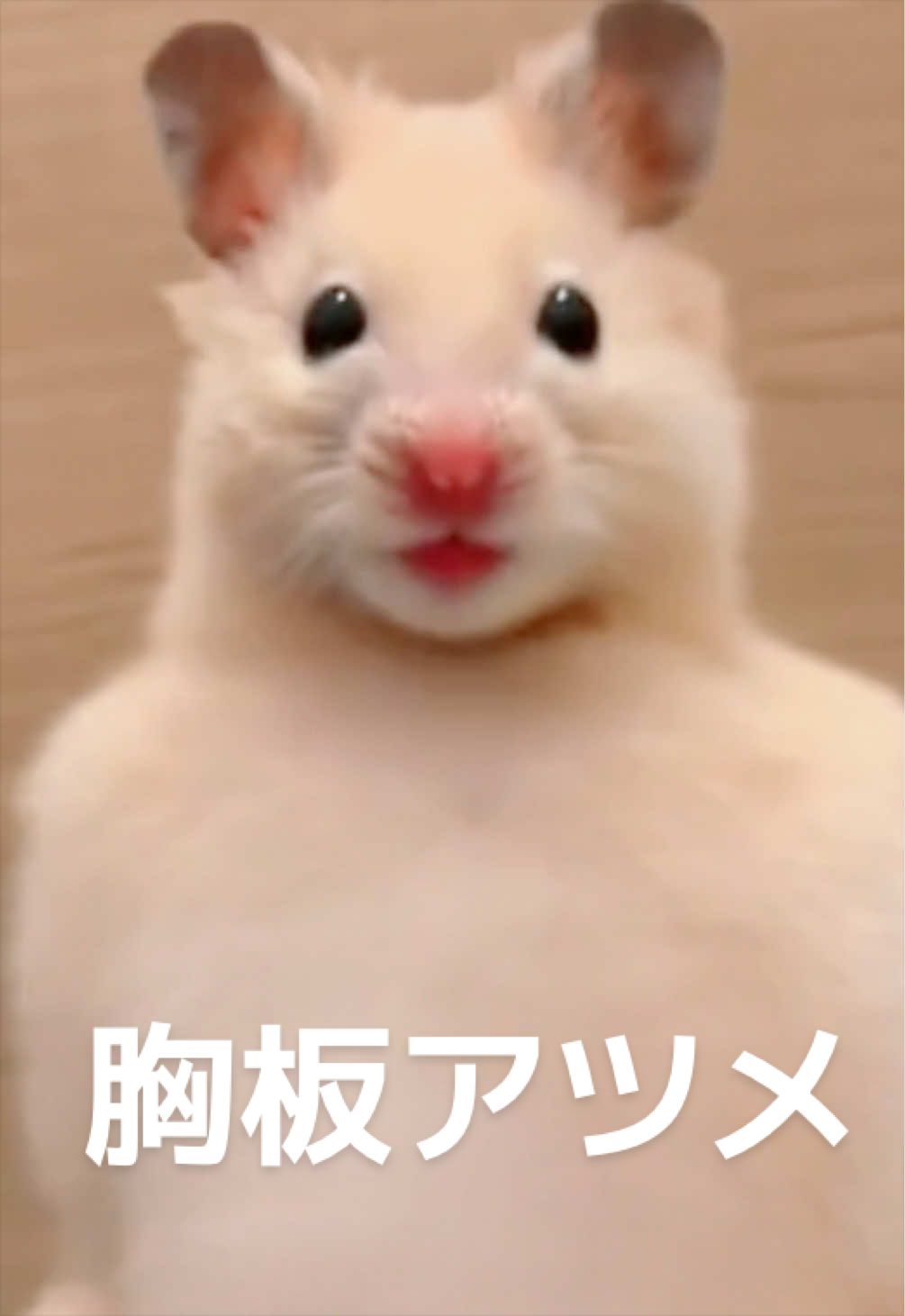 @FCham