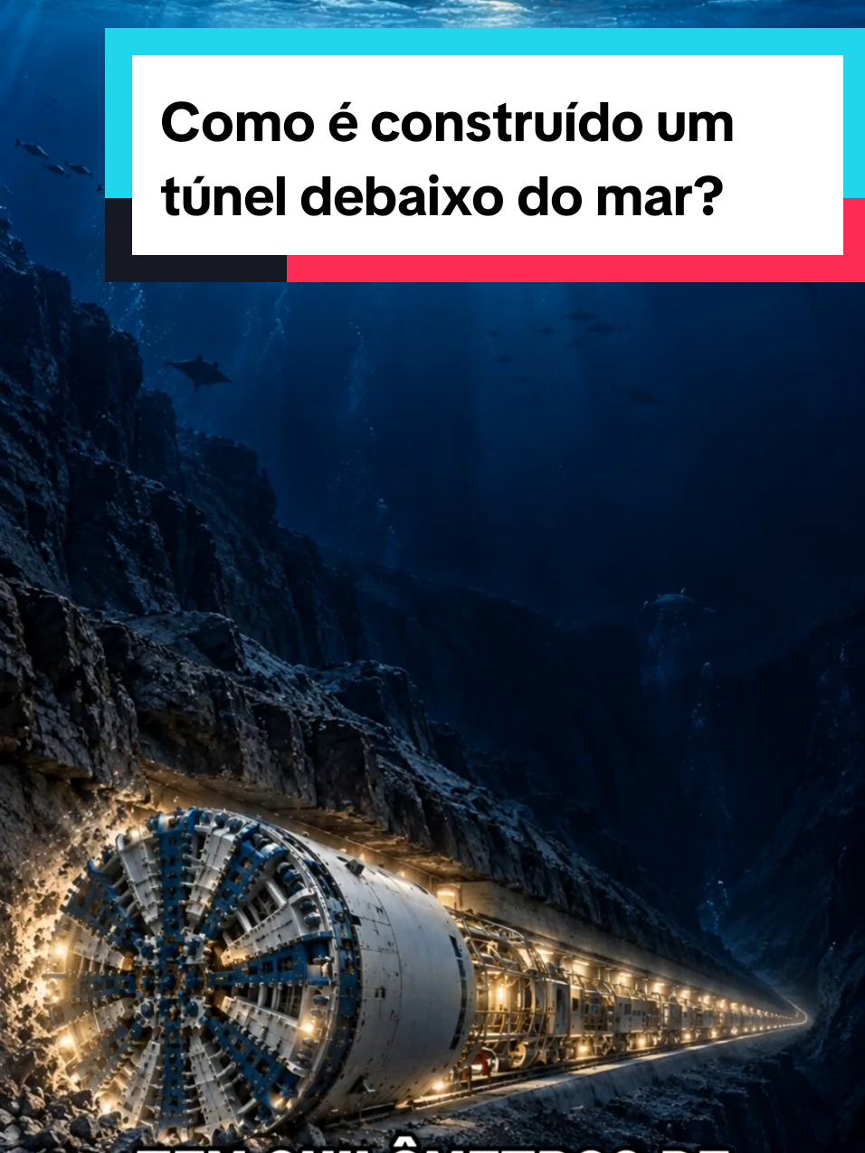 @Mundo da Curiosidades