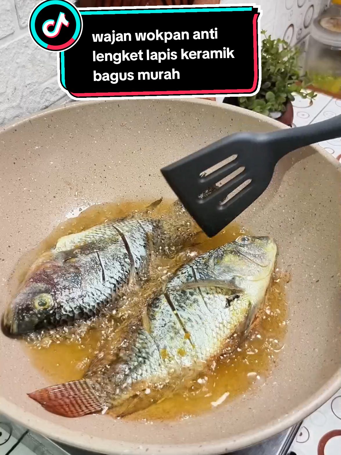 @alamaknur