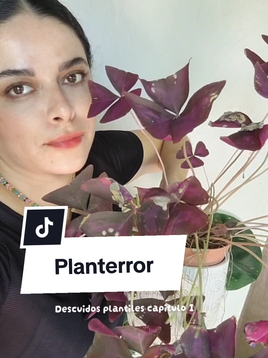 @Plantología🌿