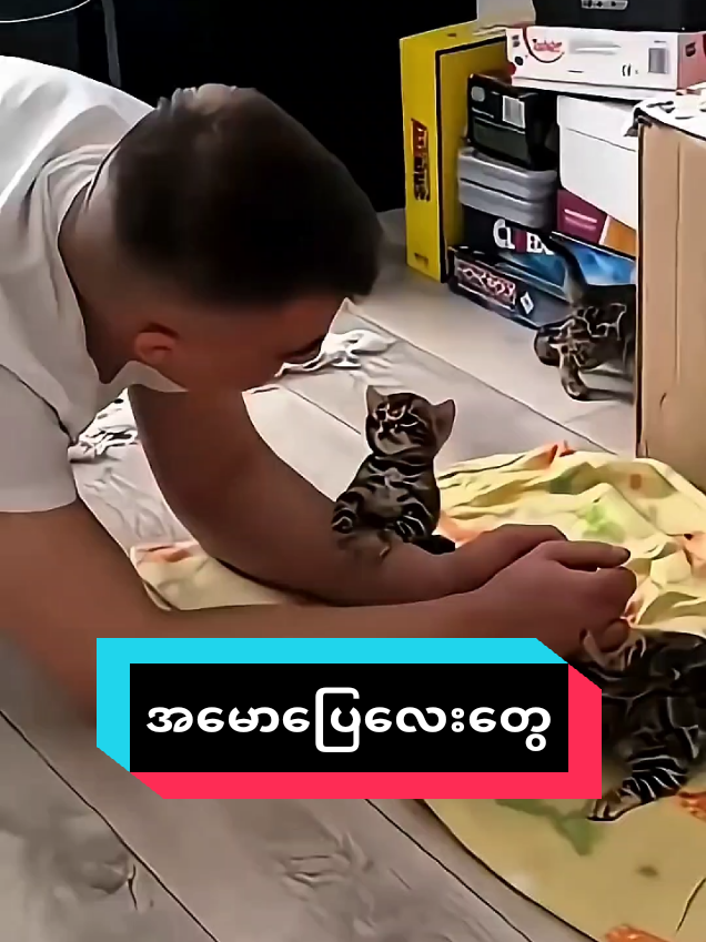 @MeowMagic