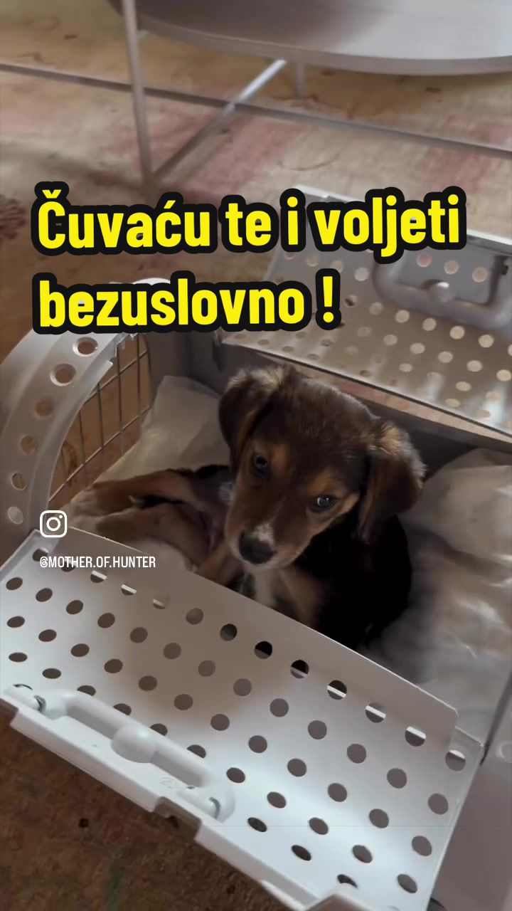 @Maja Kovijanic