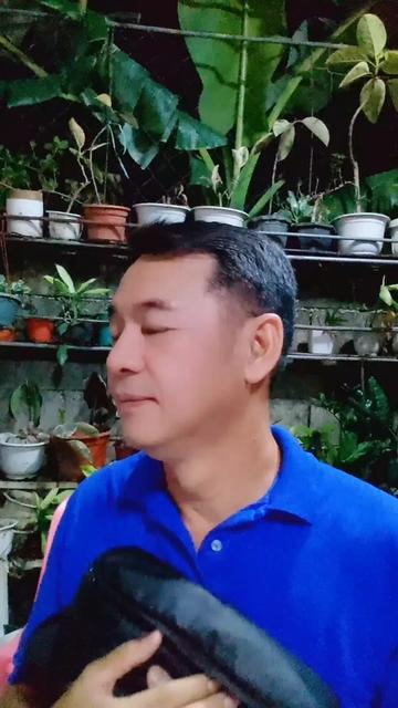 @Pido Dida