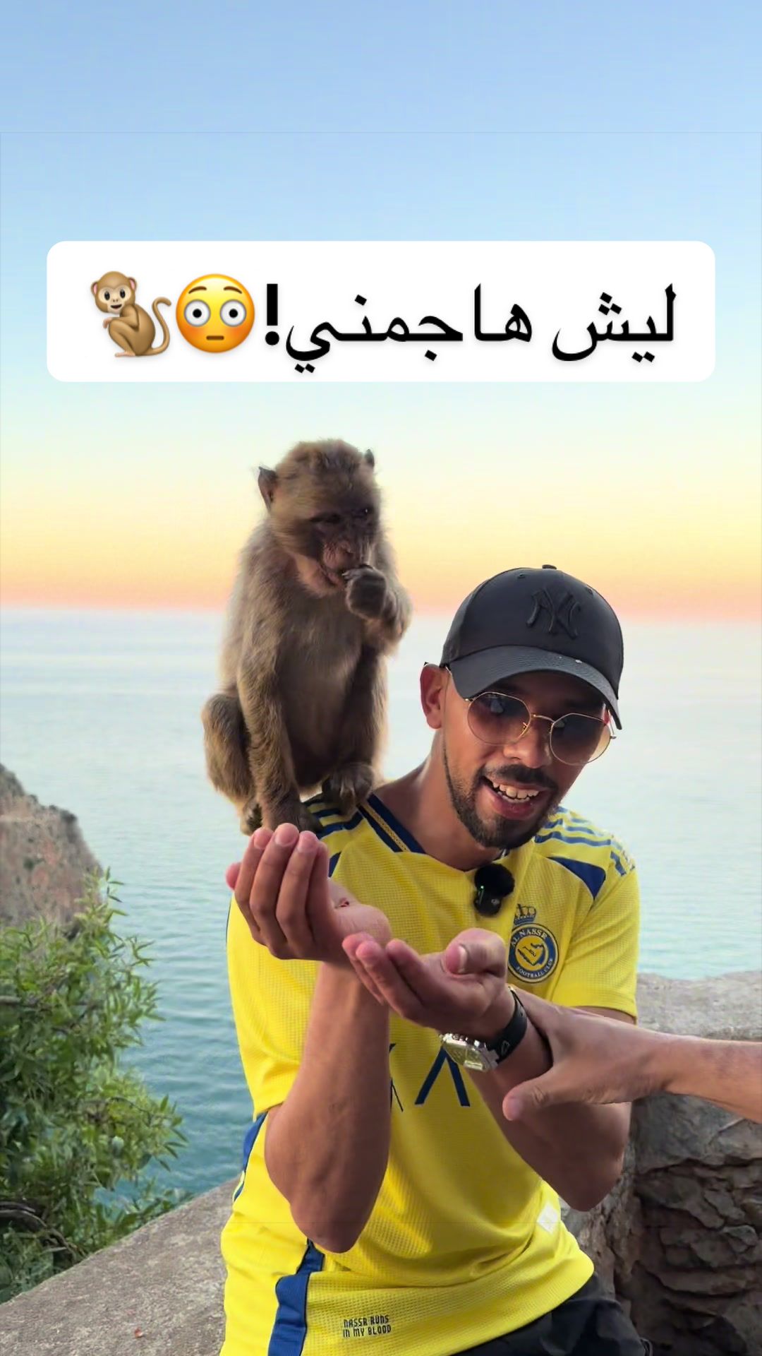 @KHALID ALOLYAN 🇸🇦🐪