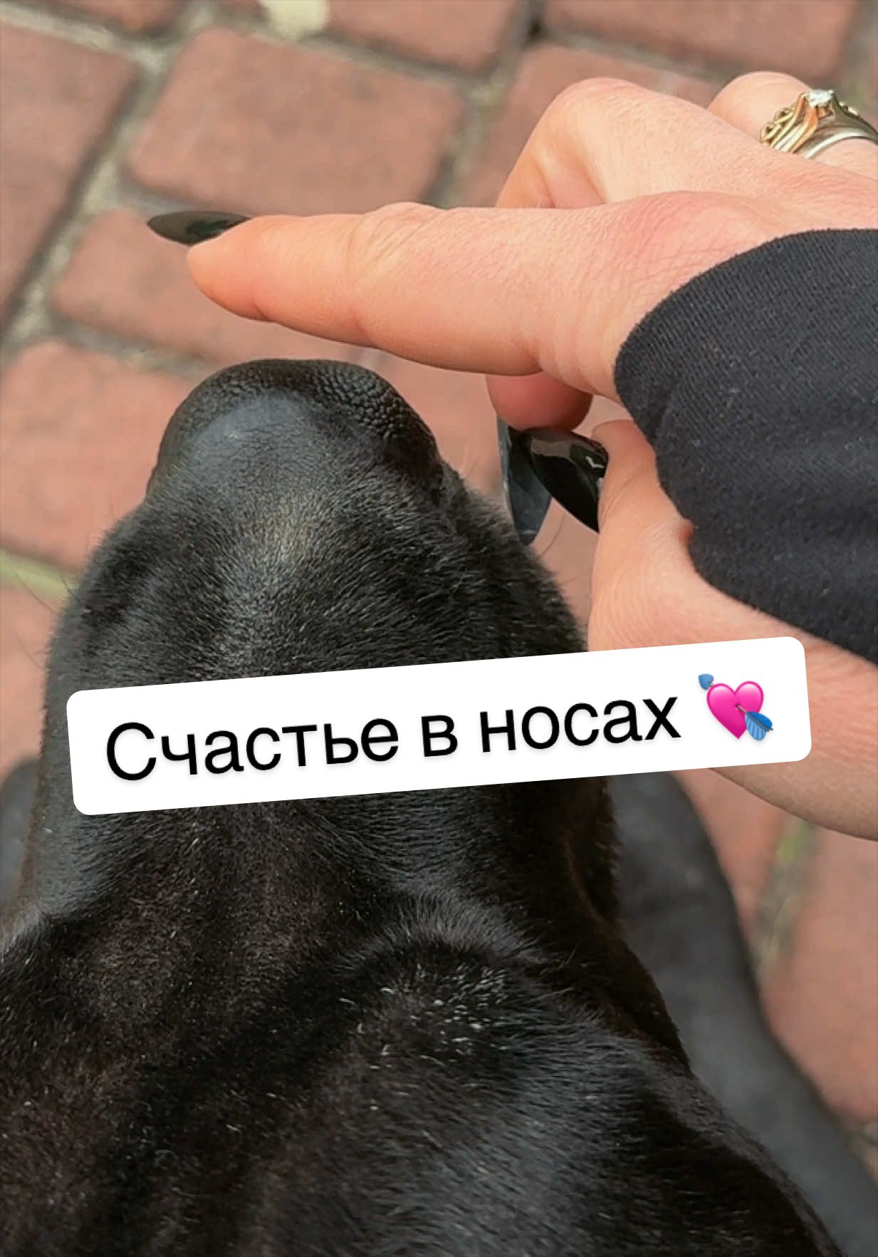 @Amor 🖤