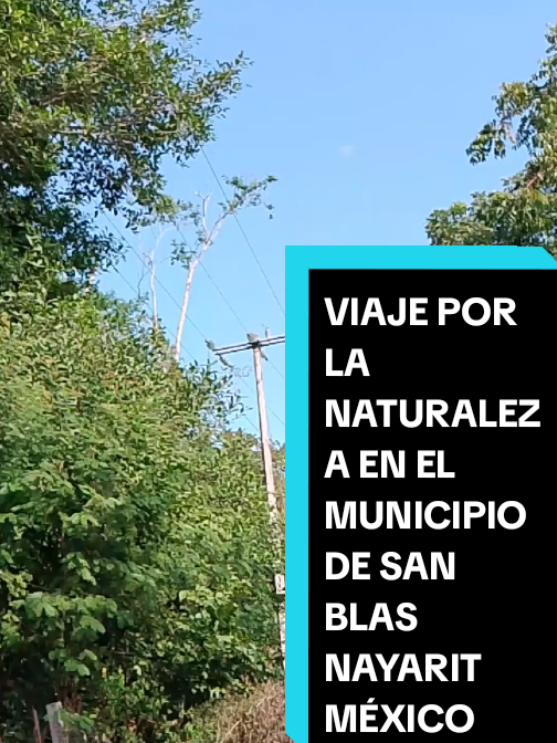 @Eliseo L&oacute;pez