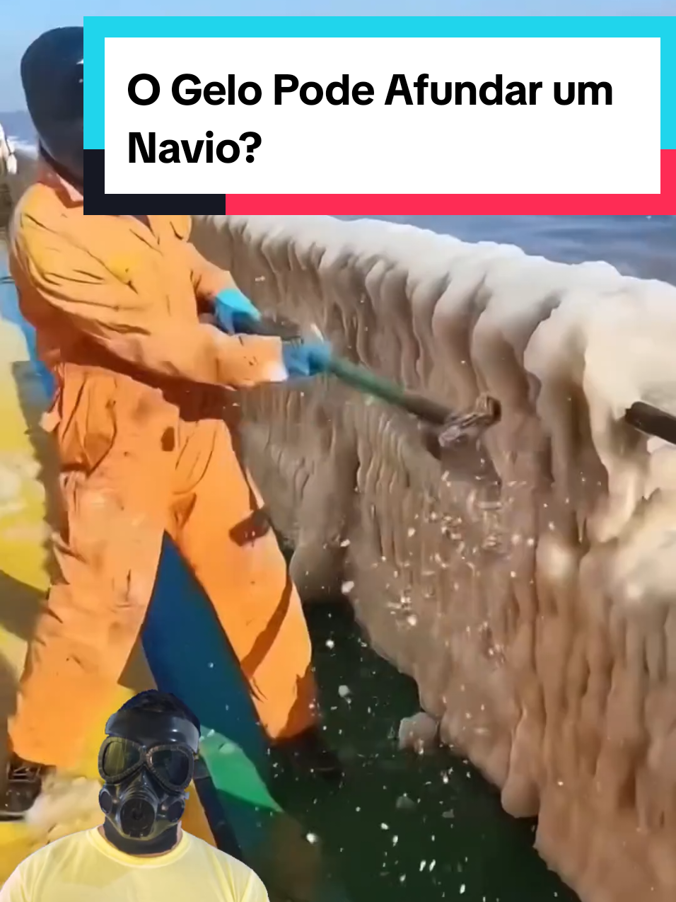 @Mundo da Curiosidades