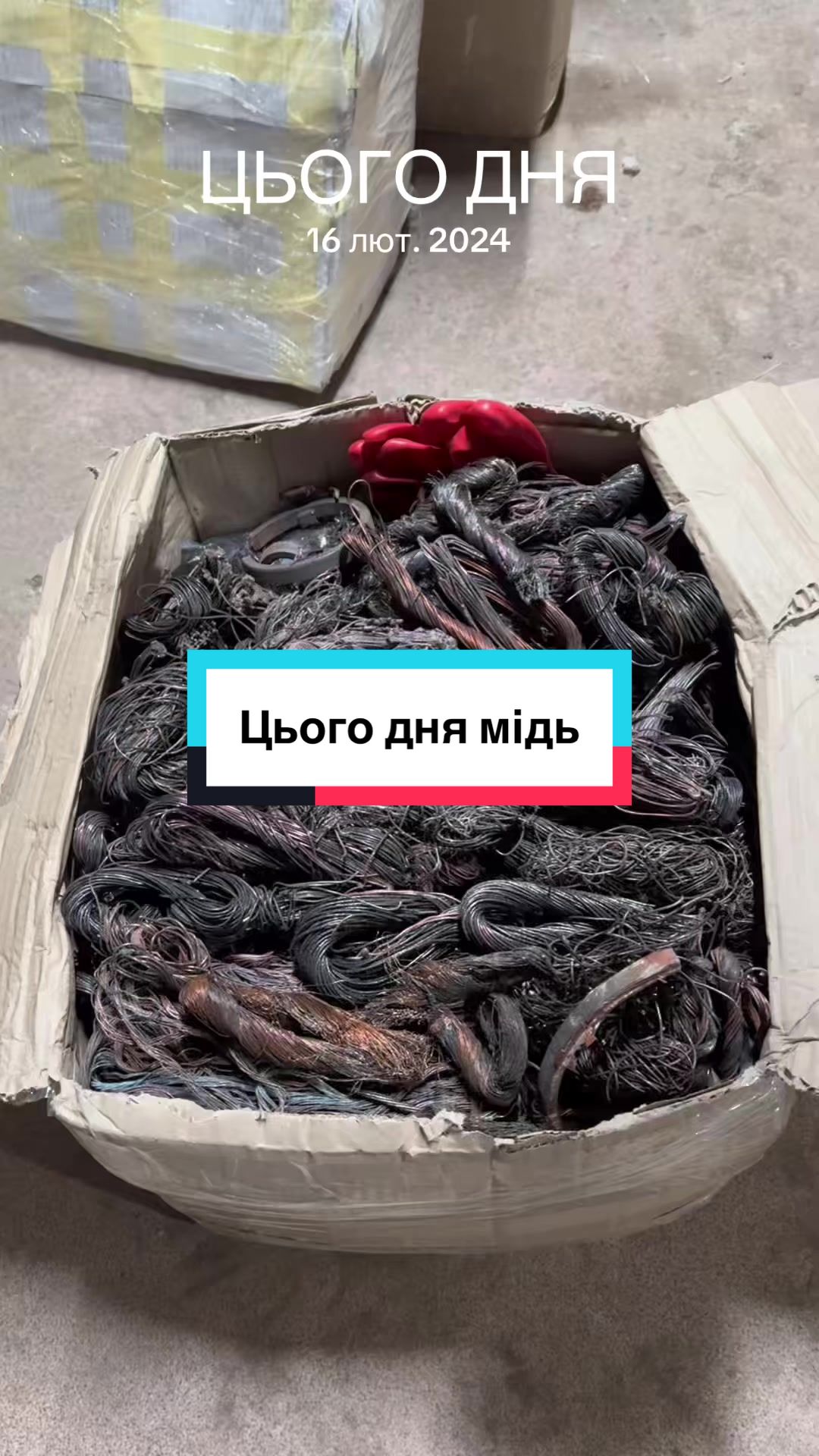 @Tik Tok прийомка