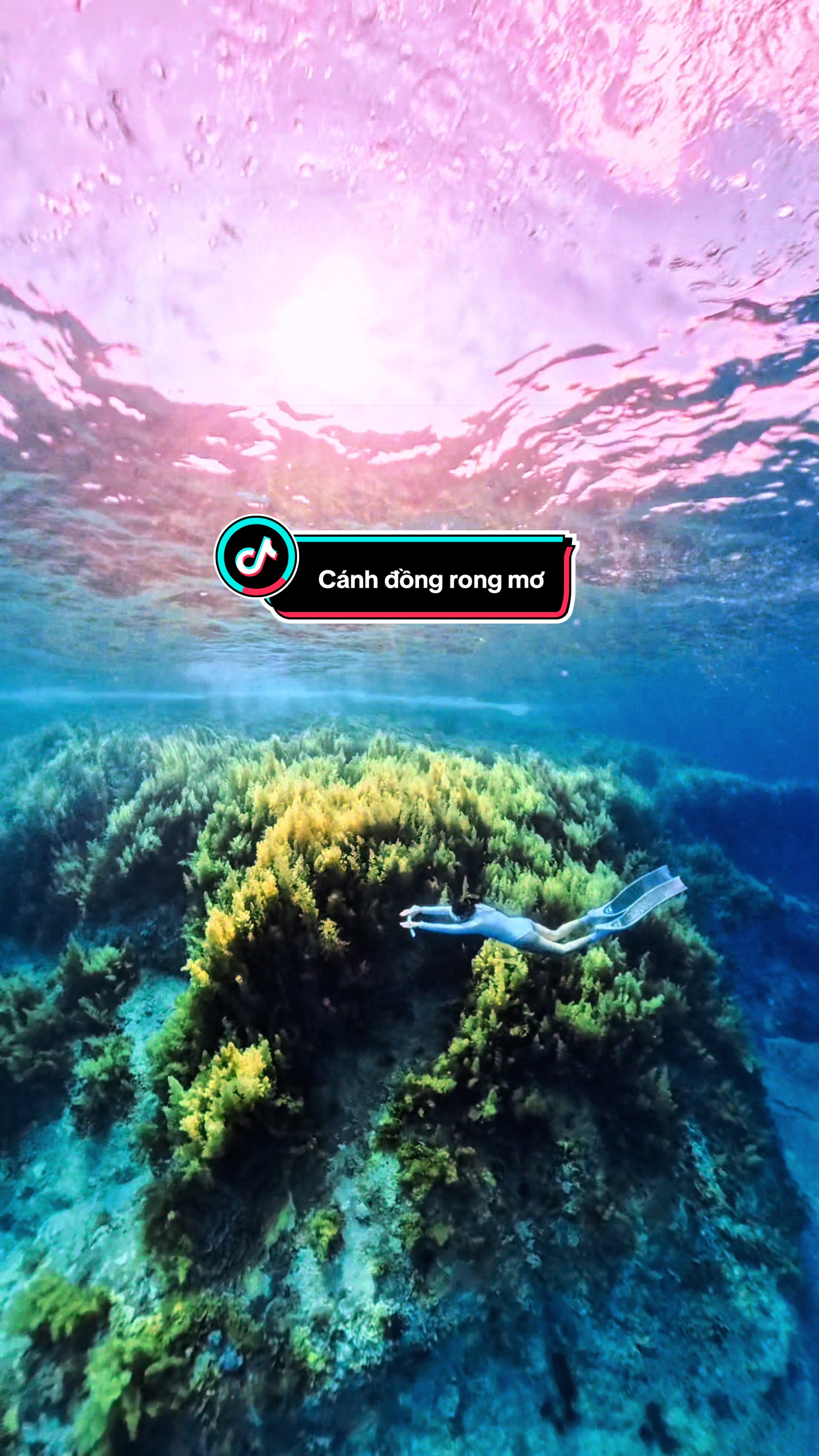 @Love Freediving Nha Trang