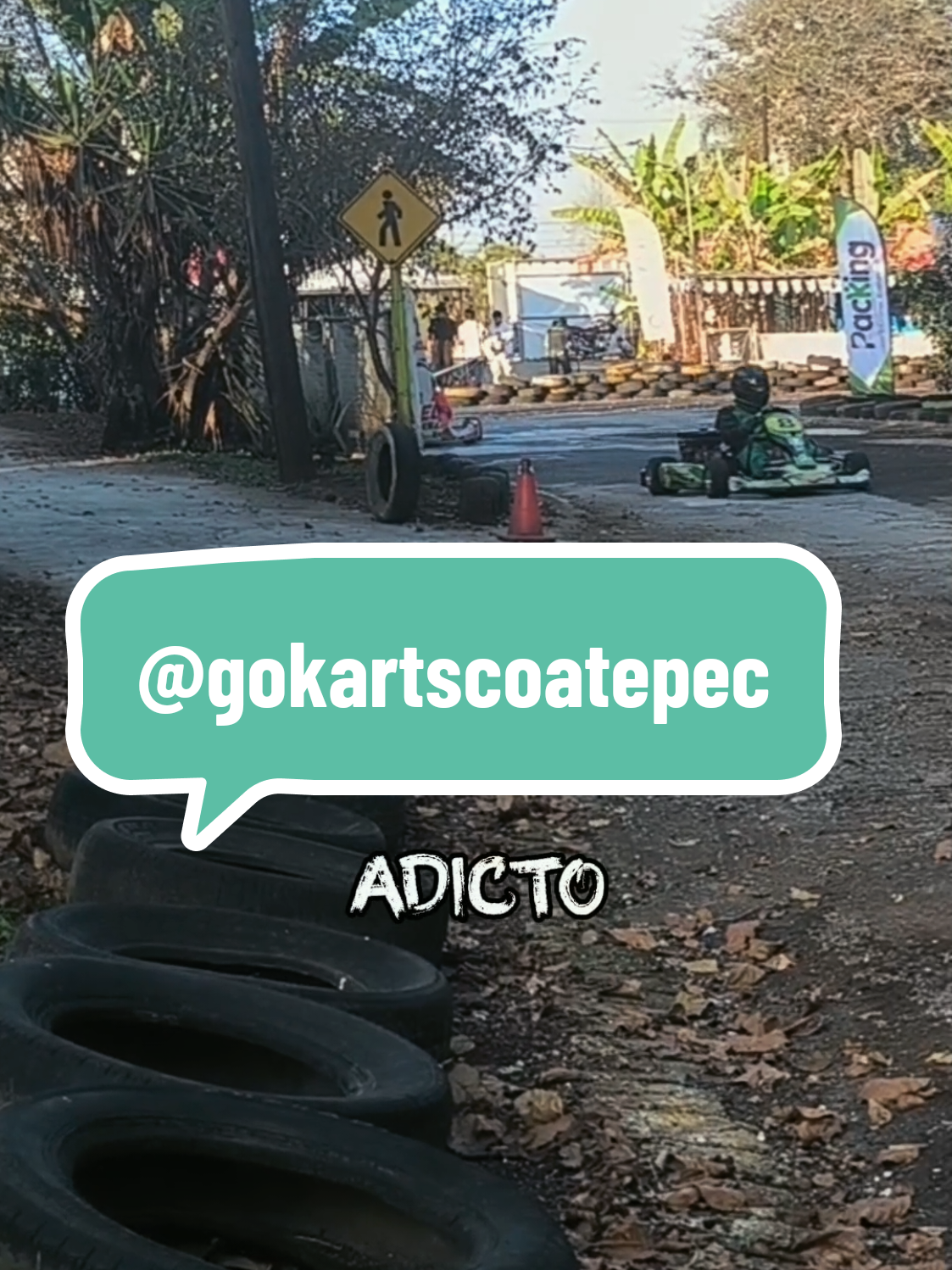 @gokartscoatepec