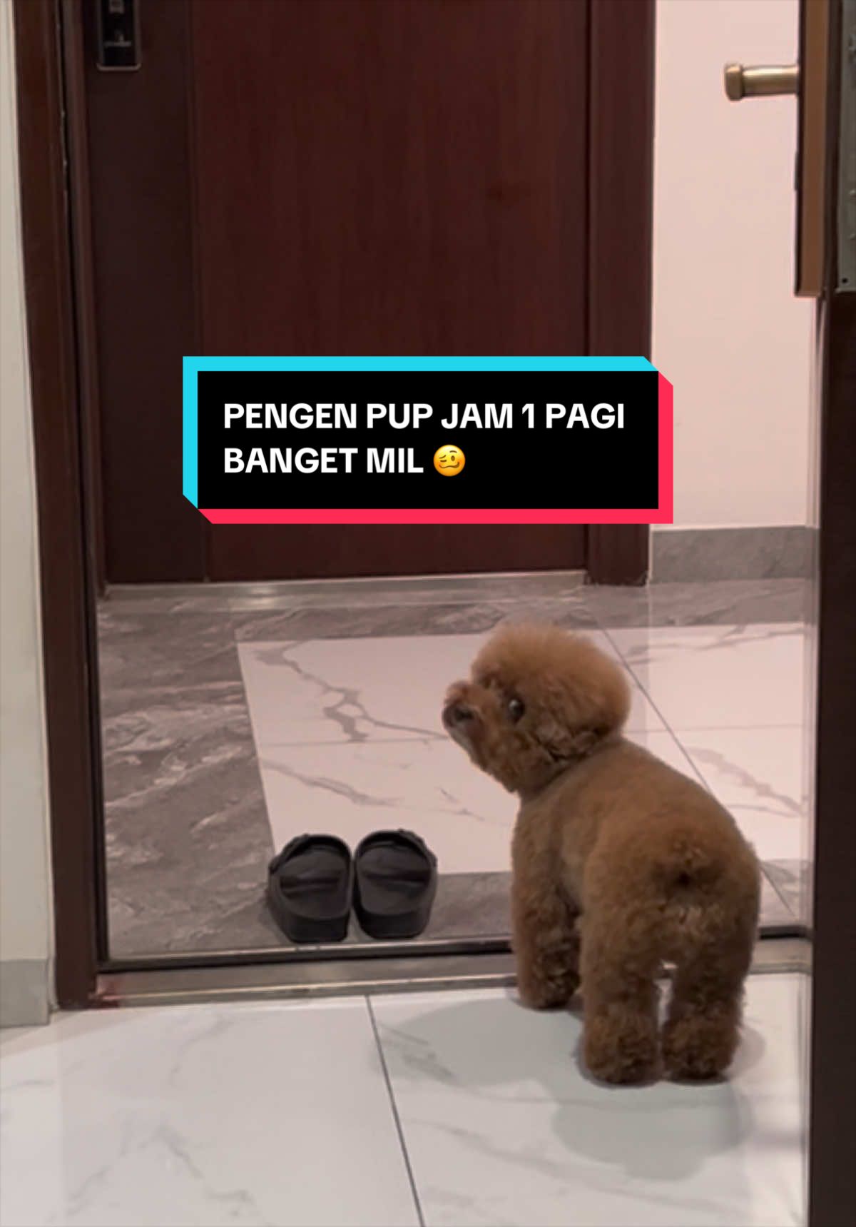@moou