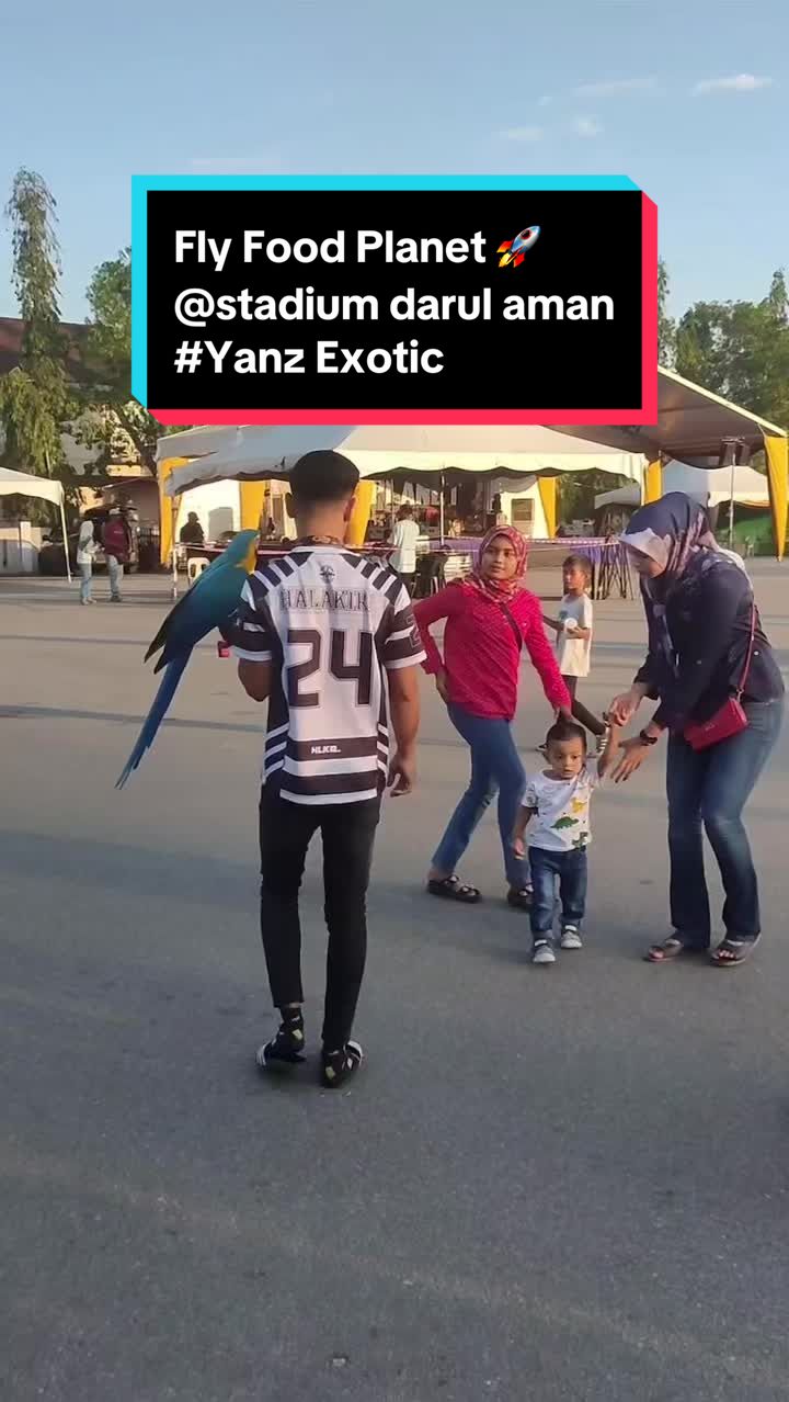 @Amarrydha