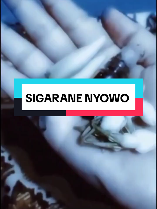 @💞 SIGARANE NYOWO 💞