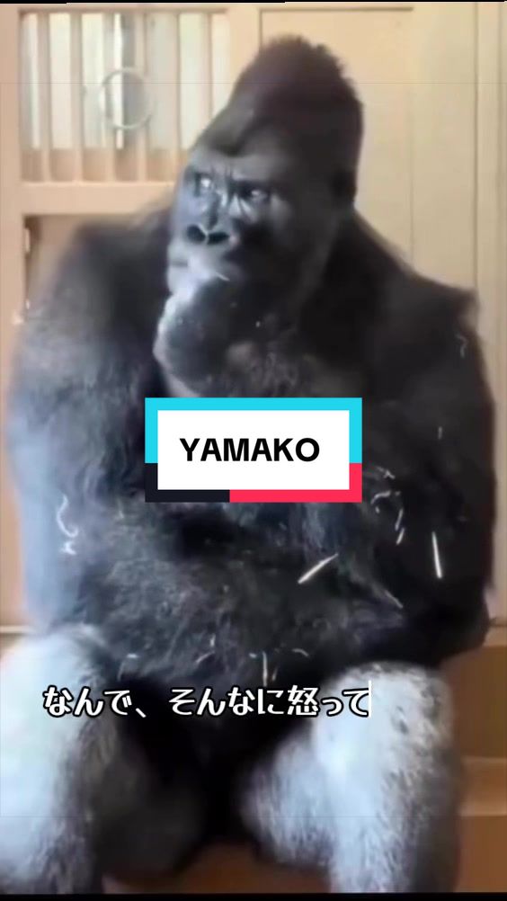 @YA-MAN_0810
