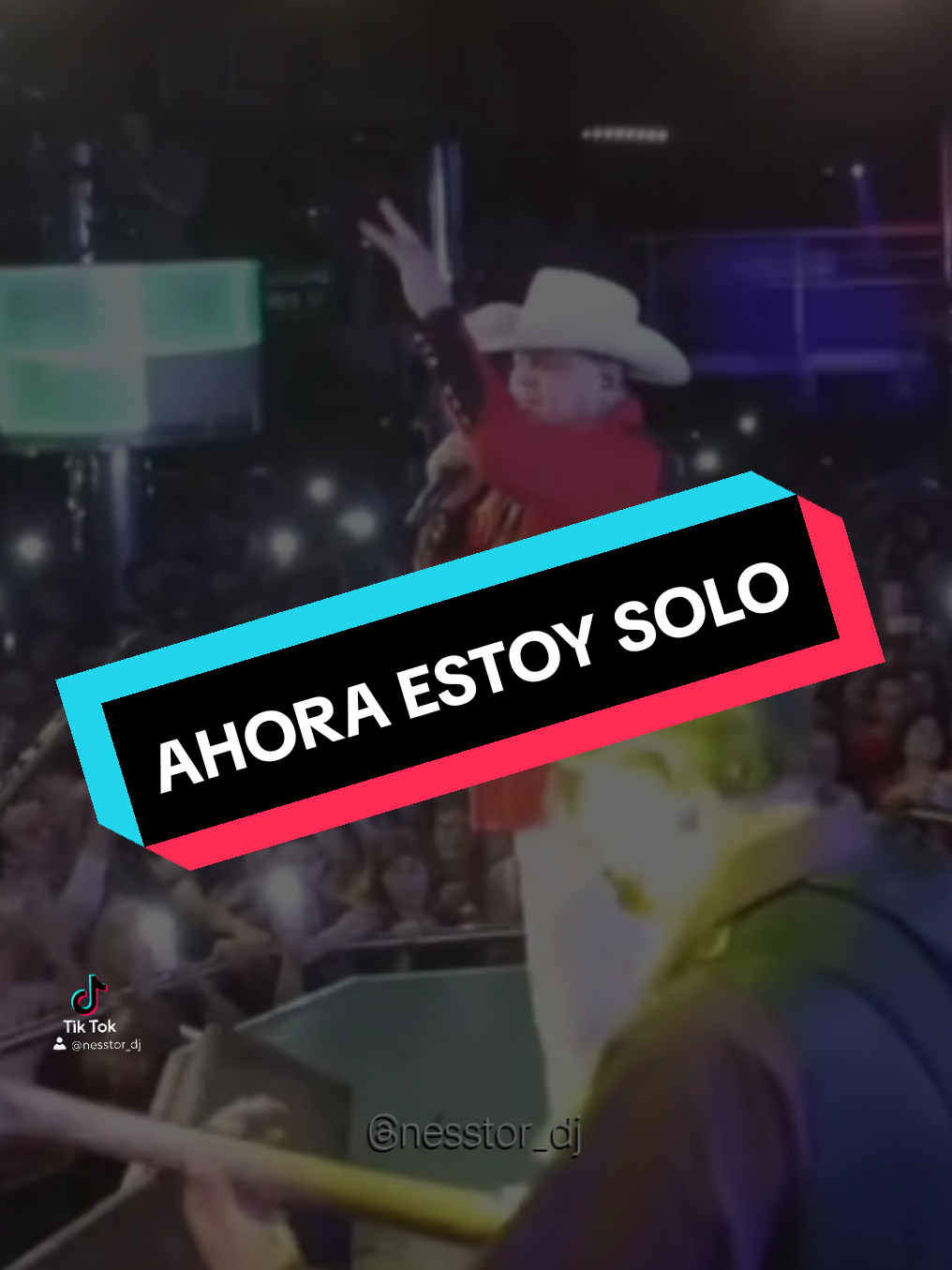 @nesstor_dj