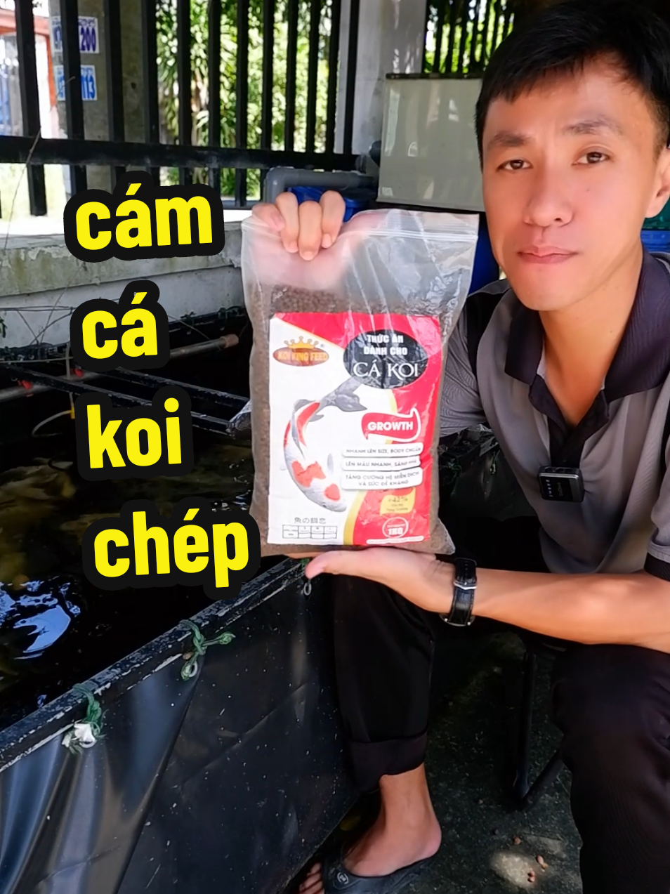 @Ngắm Cá Online