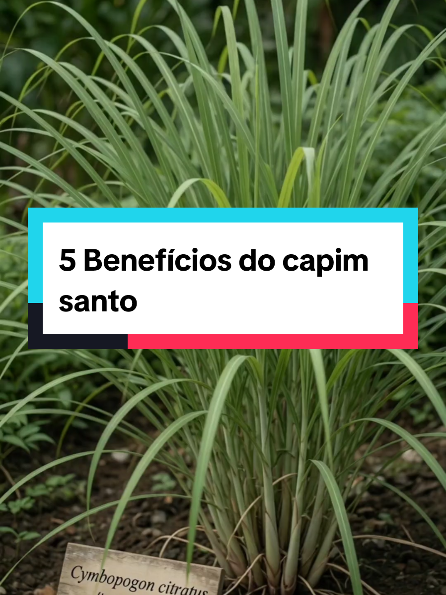 @Dicas e Receitas Naturais