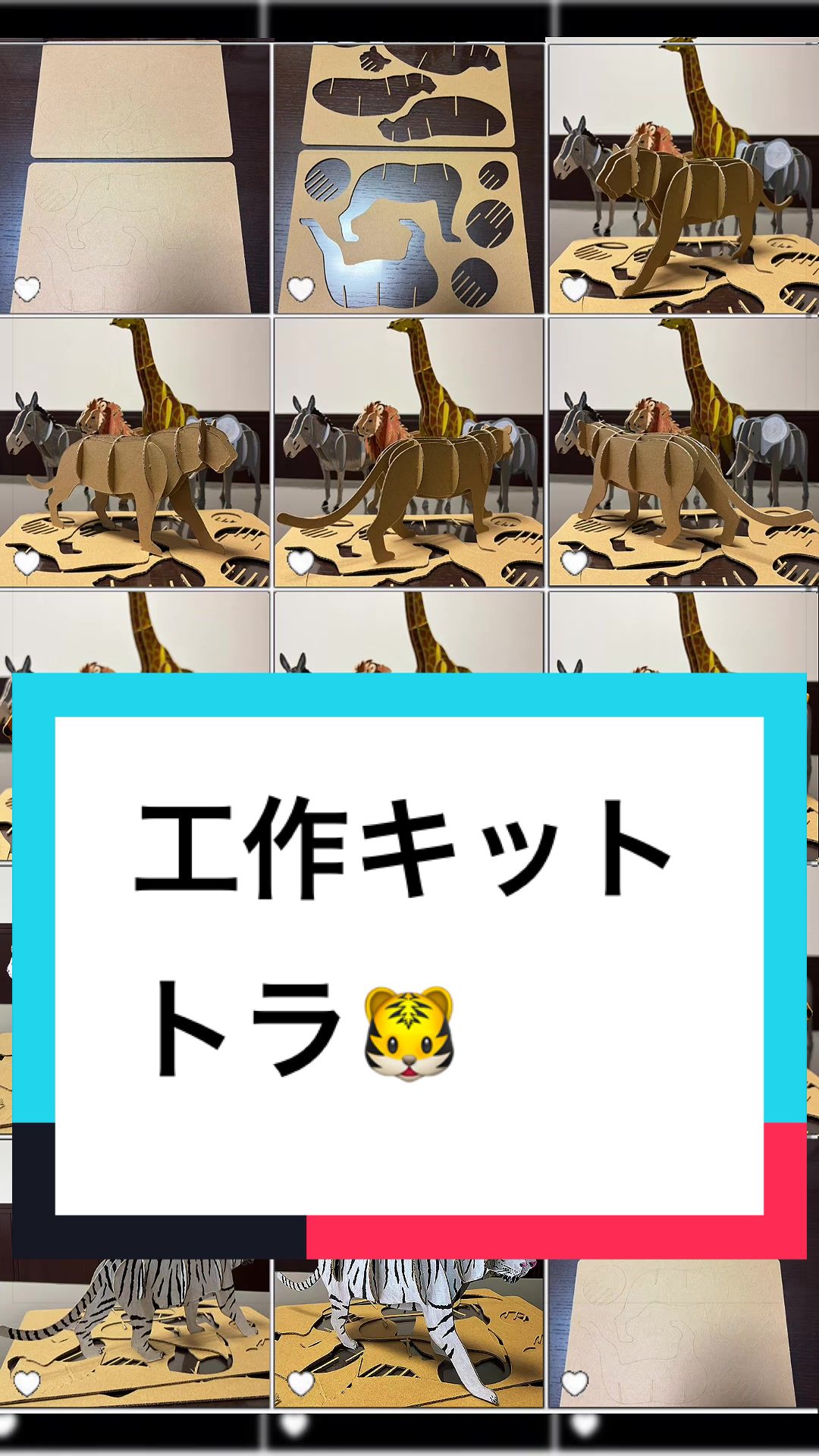 @ダンボール王子🌏♾️🐦🔥