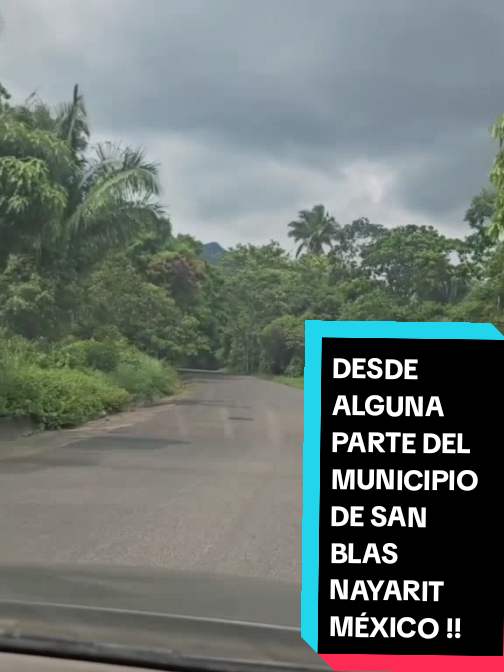 @Eliseo López