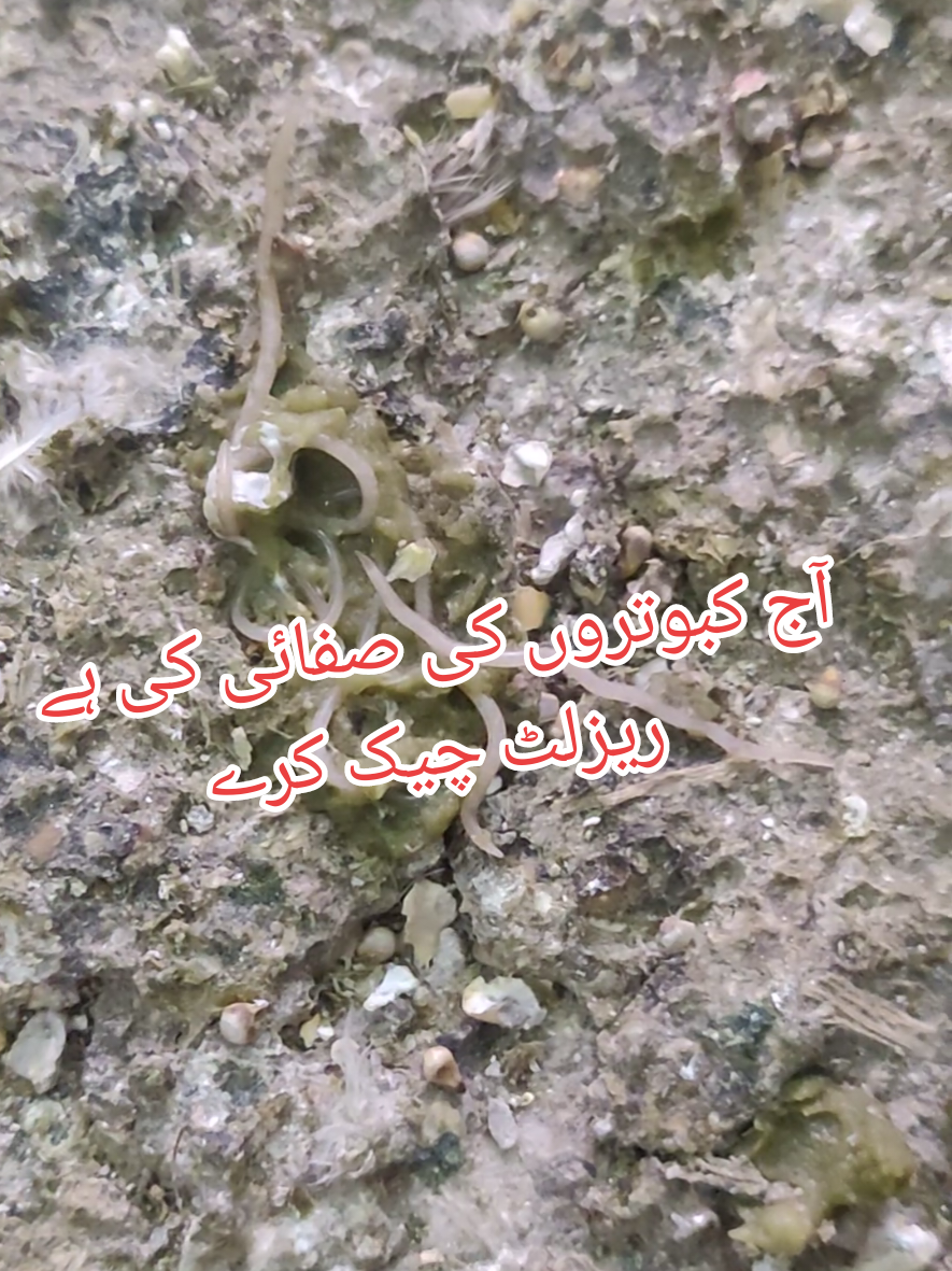 @USTAD AAMIR KHAN