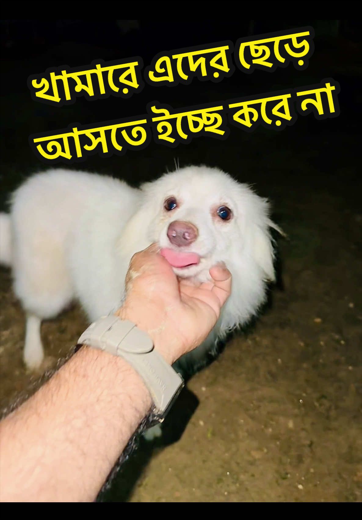 @Aqib Asif Trading (Ovi)