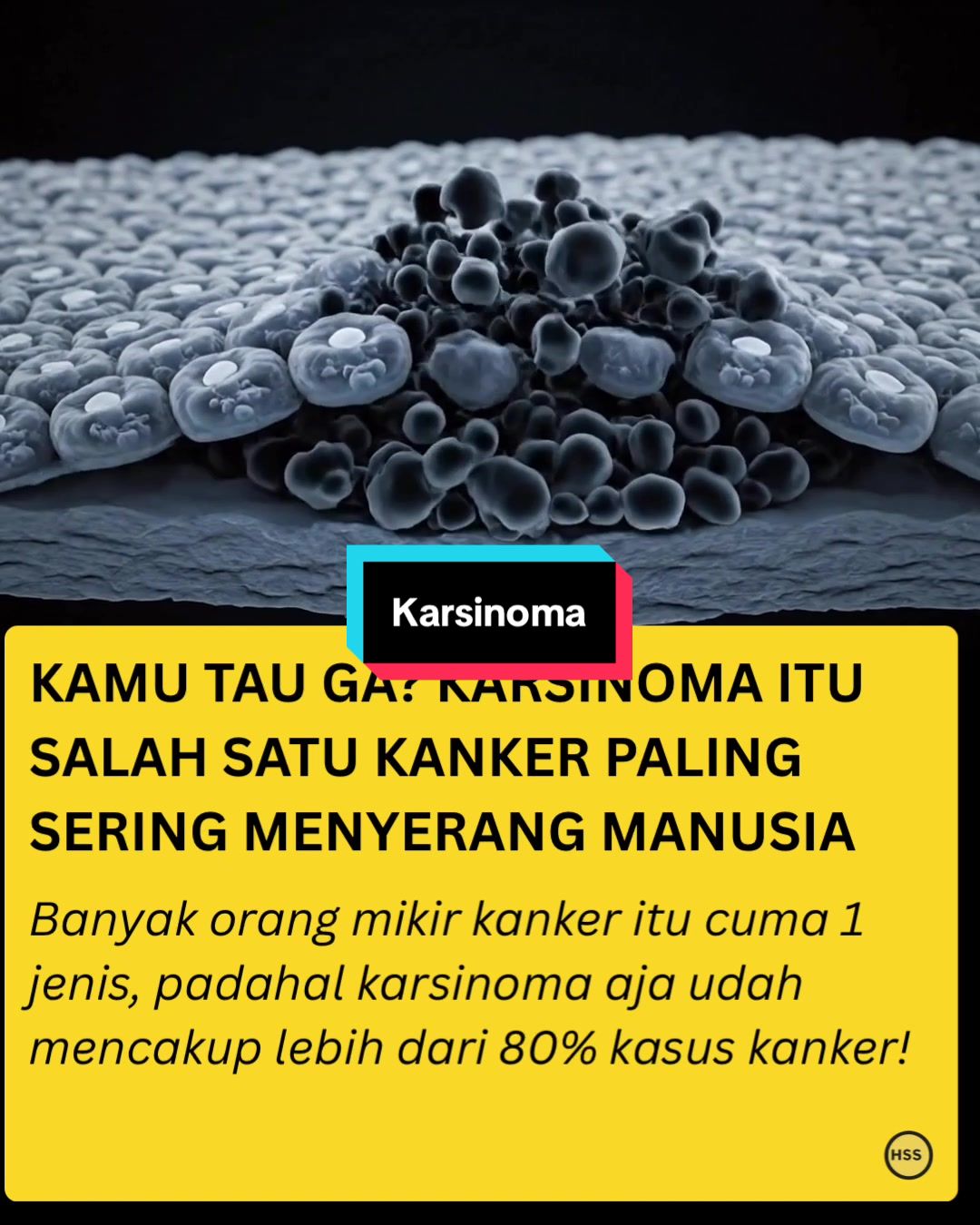 @healthstorysociety