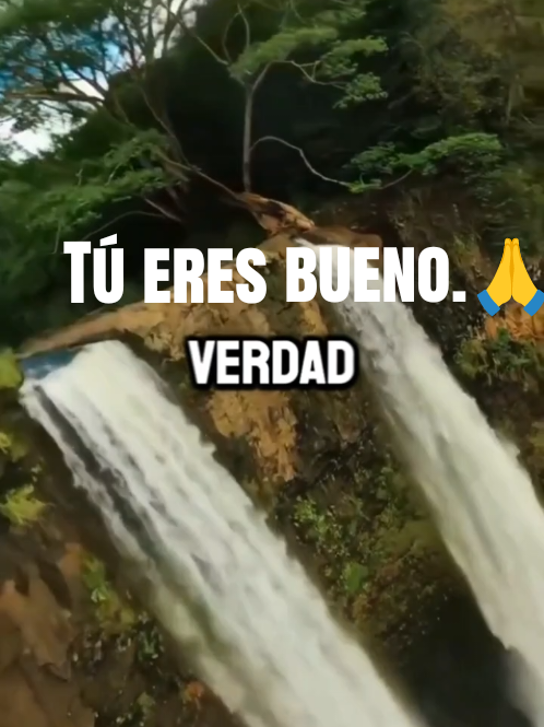 @Herminia Gonz&aacute;lez.