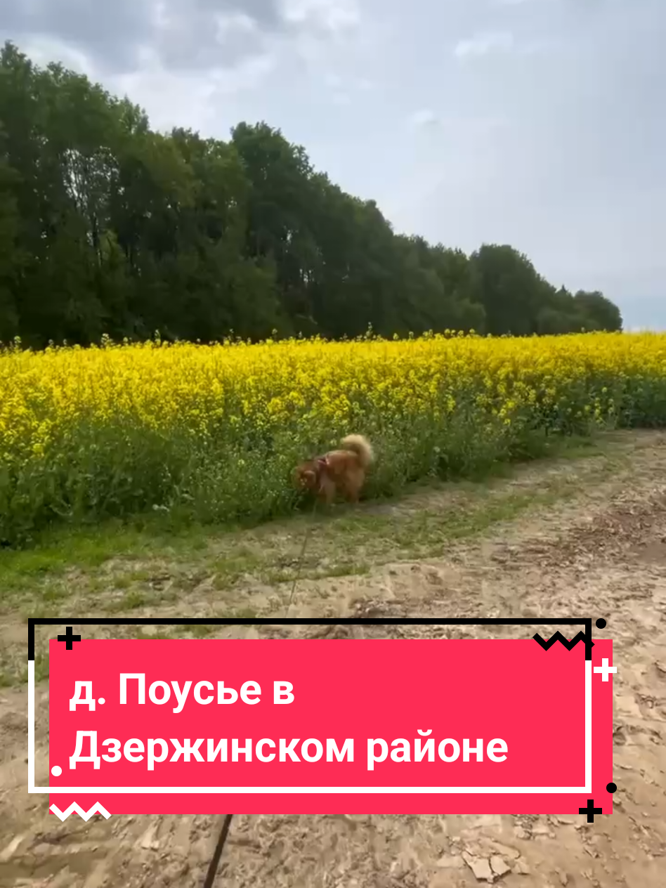 @Dzr.by - Новости Дзержинска