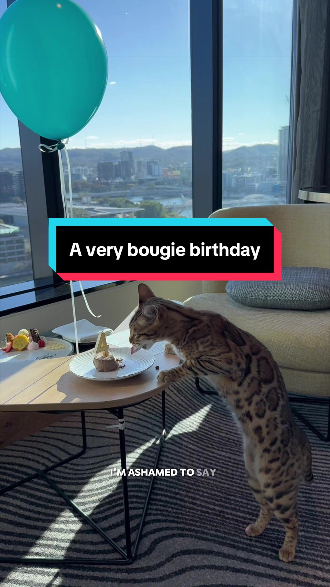 @Skeeter The Bengal