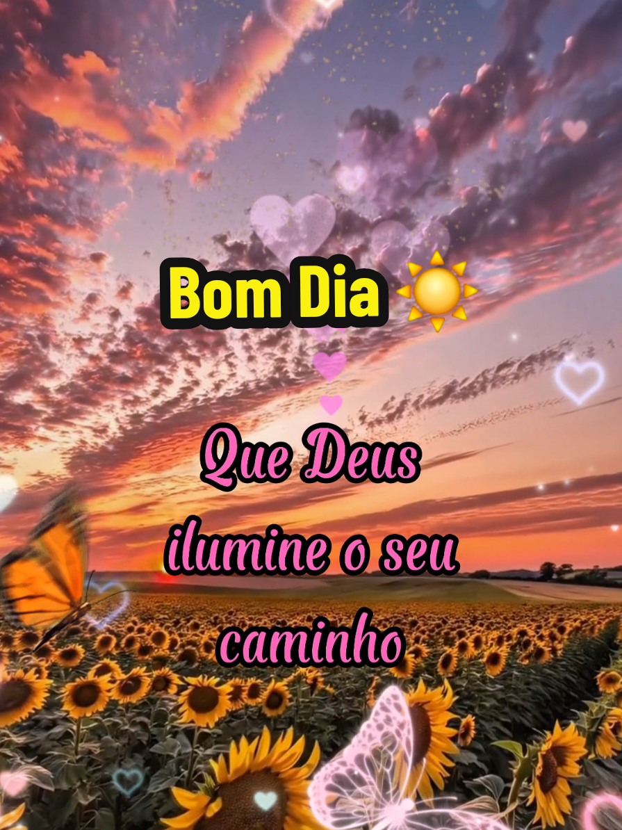 @César A. A. Santos
