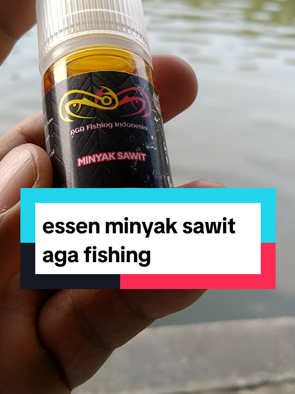 @Berkah FS