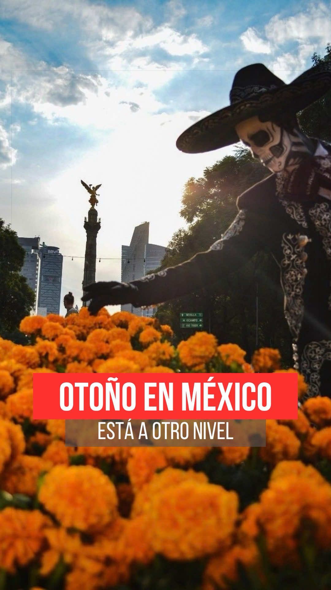 @As&iacute; Sucede Le&oacute;n Noticias