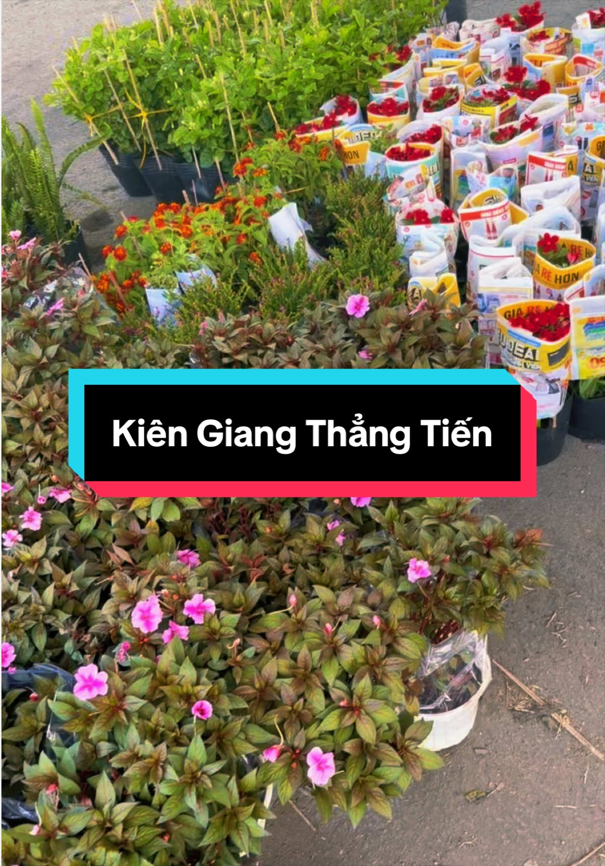 @Tiệm L&aacute; Nhỏ