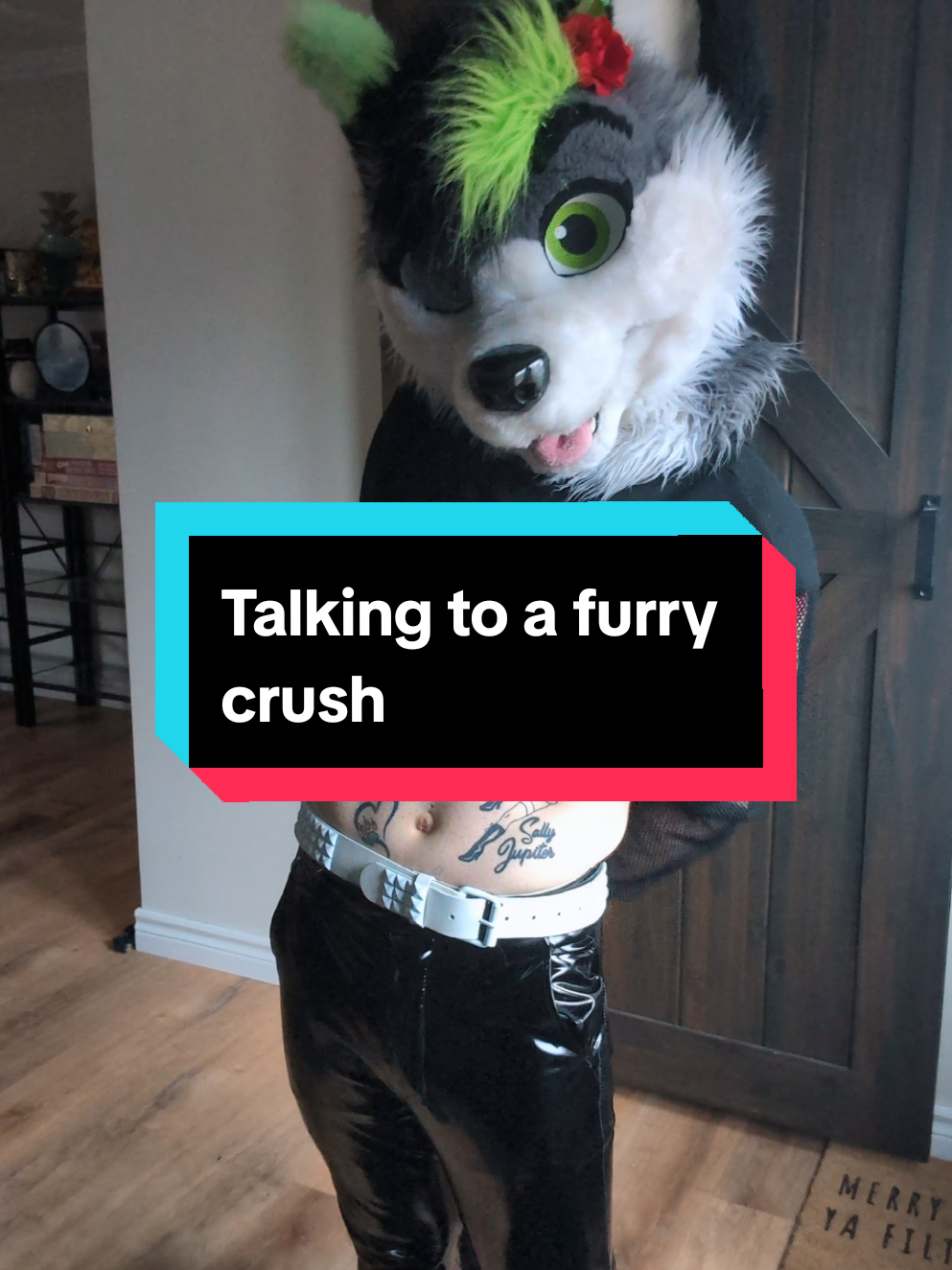 @Firefly Wolfy