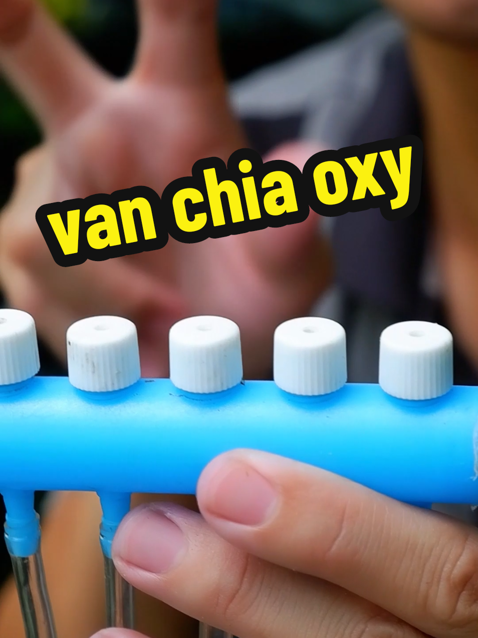 @Ngắm Cá Online