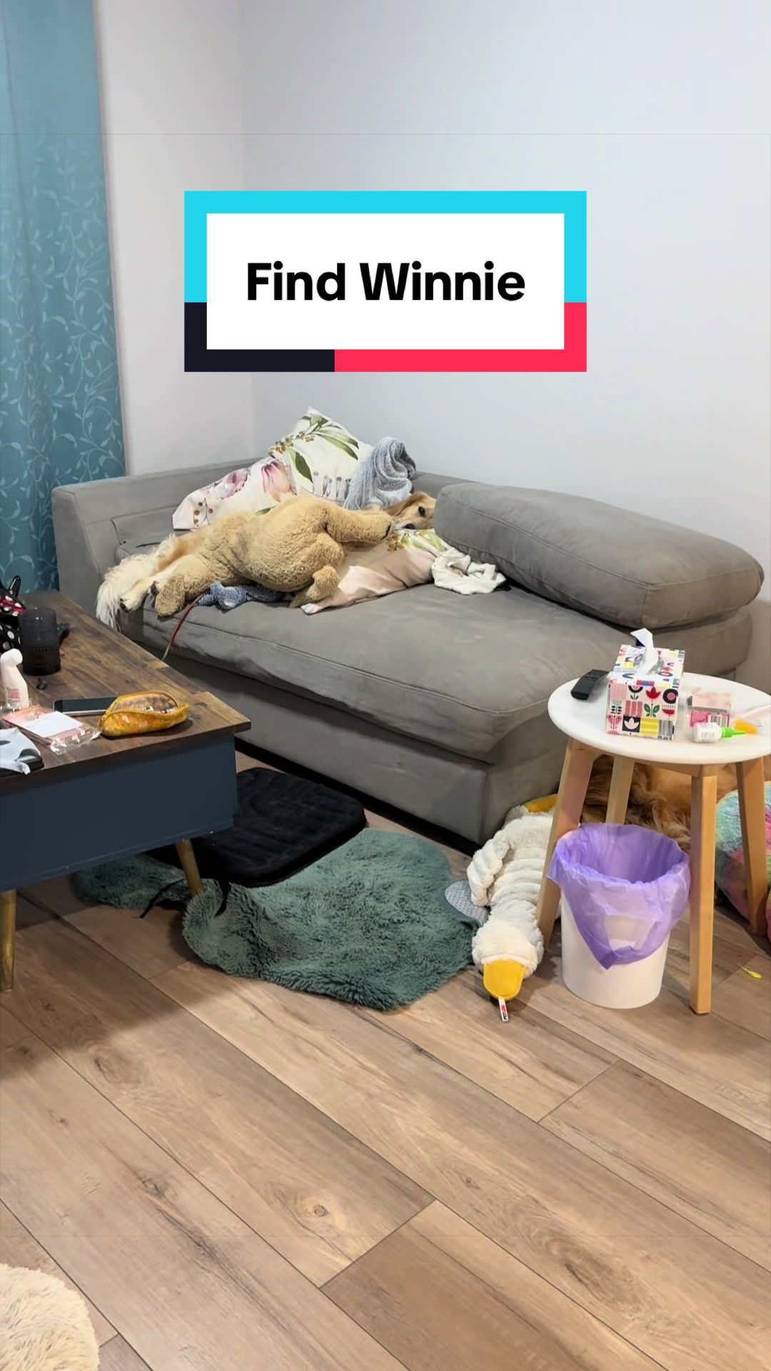 @3goldenretriever