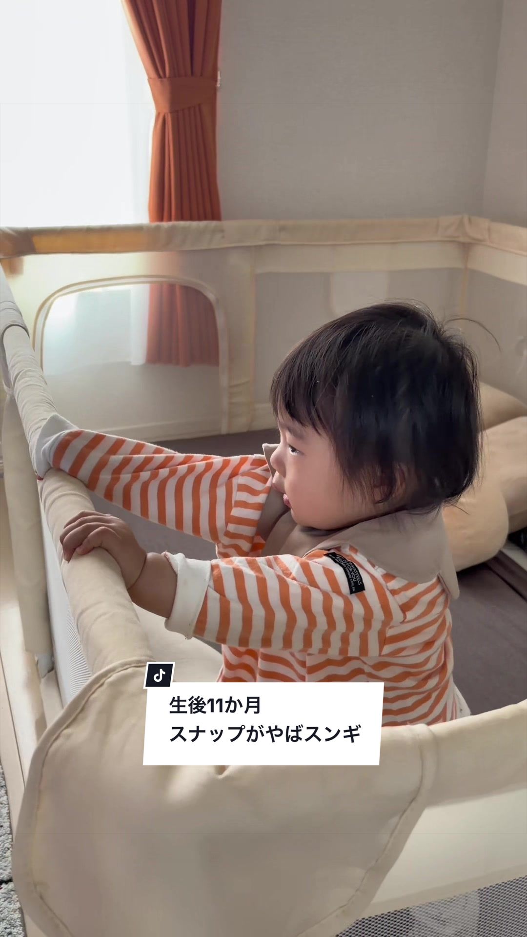 @TAO’s Slow Life