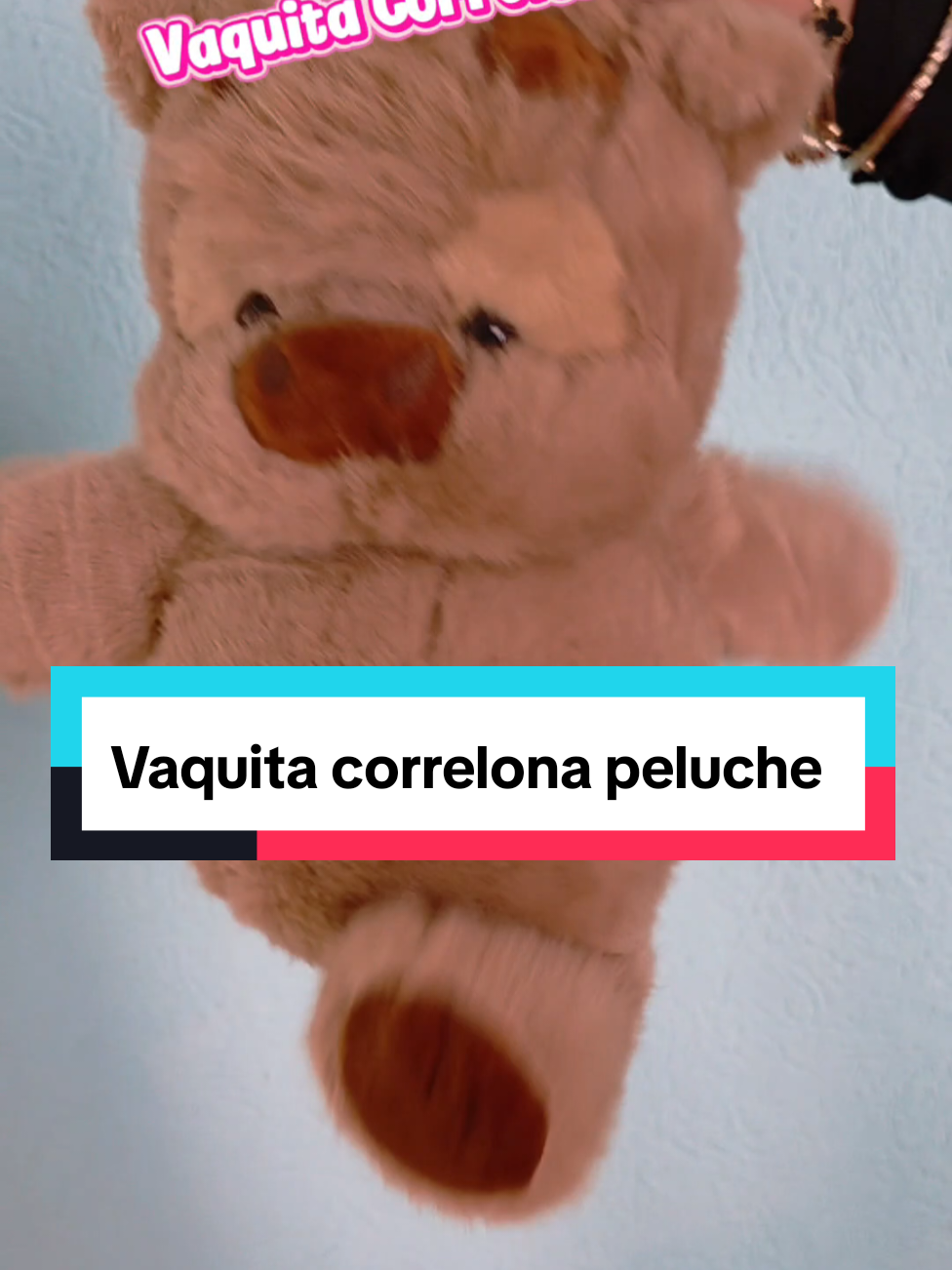 @ELCABALLERODELTIKTOK